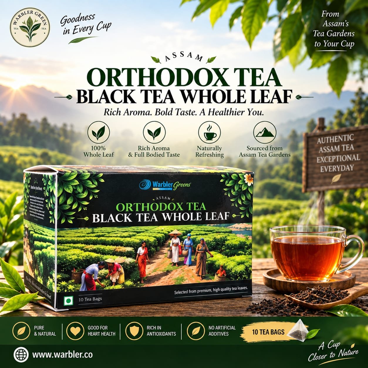 Orthodox Black Tea Bags (Box of 10)